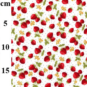 Erdbeeren 100 % Baumwollstoff pro halben Meter | 112 cm breit